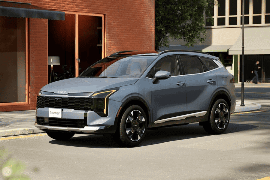 ספוטאז' הייבריד לונג